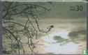 Clouds - Image 1