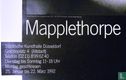 Mapplethorpe versus Rodin Kunsthalle Dusseldorf - Afbeelding 3