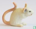 White mouse - Image 3