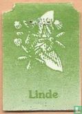 Linde / Tilleul - Image 1
