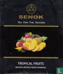 Tropical Fruits - Image 1