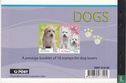 chiens - Image 2