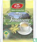 Ceai de Sunatoare - Image 1