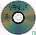 Venus - Bild 3