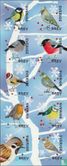winter Birds - Image 1