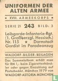 Leibgarde-Infanterie-Rgt. (1. Großherzgl. Hessisch.) Nr. 115 * Darmstadt Gardist im Paradeanzug - Afbeelding 2