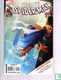 Web of Spider-Man 1  - Bild 1