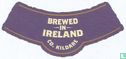 Irish Pale Ale - Image 3