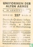 Deutsch-Ordens-Infanterie-Regiment Nr. 152 Marienburg * Stuhm Leutnant im Marschanzug - Afbeelding 2