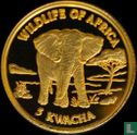 Malawi 5 kwacha 2000 (PROOF) "African Elephant" - Afbeelding 2