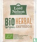 Herbal Infusion - Bild 1