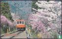 Hakone Tozan Line EMU 114 (35) - Bild 1