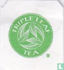 Green Tea Beneficial Everyday Tea [tm]  - Image 3