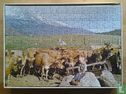 Koeien in bergwei - Image 3
