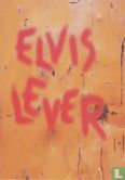 1218 - Daim "Elvis lever" - Afbeelding 1