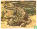Krokodil - Image 1