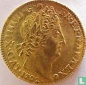 Frankrijk 1 louis d'or 1702 (W) - Afbeelding 1