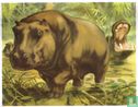 Het Nijlpaard - Afbeelding 1