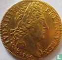 Frankrijk 1 louis d'or 1704 (A) - Afbeelding 1