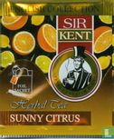 Sunny Citrus - Image 1