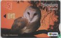 Tyto Alba (Owl) - Afbeelding 1