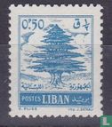 Ceder van Libanon - Afbeelding 1