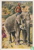 De olifant als landbouwer - Afbeelding 1