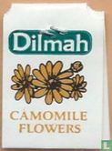Camomile Flowers - Afbeelding 2