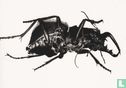Massive Attack - Mezzanine - Image 1