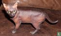 Cat - Image 3