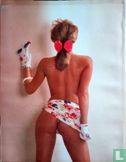 Playboy's Girls of Summer '89 - Afbeelding 2