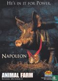 Animal Farm - Napoleon - Afbeelding 1