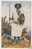 Een Abessinier - Afbeelding 1