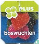 Bosvruchten