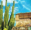 Mexico - Image 1