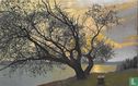 Bodensee (bei Radolfszell)