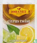 citrus twist - Image 1