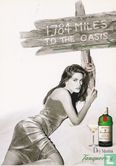 0000241 - Tanqueray - Bild 1