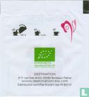 Pomme d'Amour - Image 2