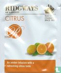 Citrus  - Image 1