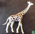 Giraffe - Bild 1