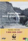 097 - WWF "Protégeons notre grand canyon..." - Afbeelding 1