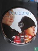 Bluebird - Image 3