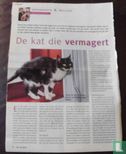 Gezondheid & Welzijn - De kat die vermagert - Image 1
