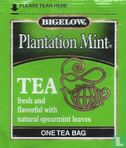 Plantation Mint [r]   - Image 1