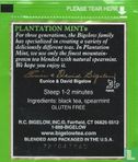 Plantation Mint [r]   - Afbeelding 2