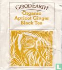 Apricot Ginger Black Tea - Bild 1
