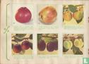Eet Neerlands fruit, dag in dag uit !! 1928 - 1953 - Afbeelding 3