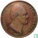 Verenigd Koninkrijk ½ penny 1831 - Afbeelding 1