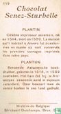 Plantijn - Afbeelding 2
